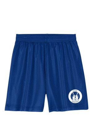 Sport-Tek® Youth PosiCharge® Mesh 5” Short